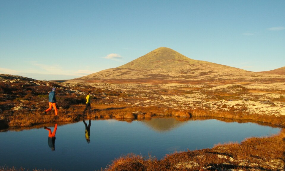 Turer i variert terreng på Venabygdsfjellet