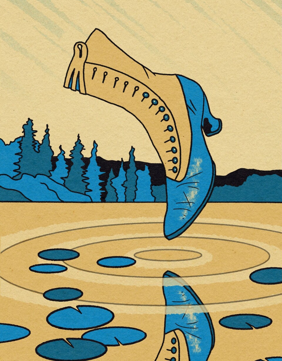 Illustrasjon: Tim Harding. Illustrasjon: Tim Harding.