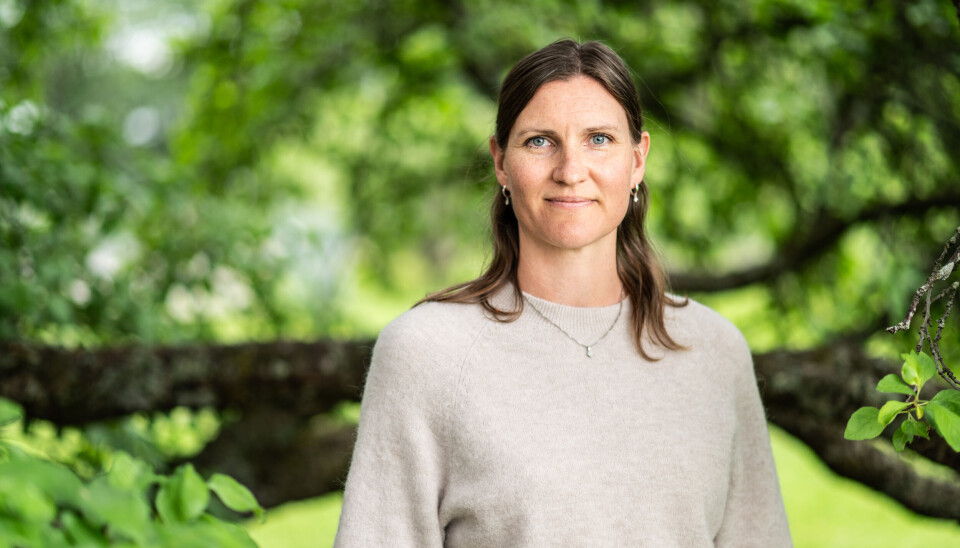 Anita Verpe Dyrrdal er klimaforsker og leder for Norsk klimaservicesenter.
