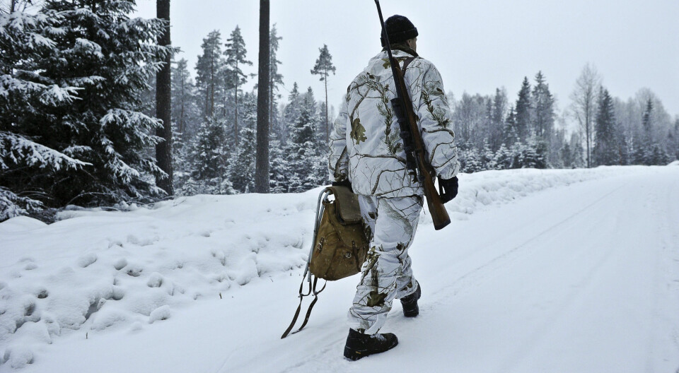 Økokrim aksjonerte nylig i Innlandet og pågrep fem menn for ulovlig jakt. (illustrasjonsfoto)