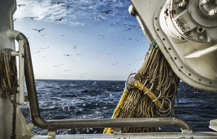 De nye forslagene for å redde Oslofjorden går hard ut over yrkesfiskerne.