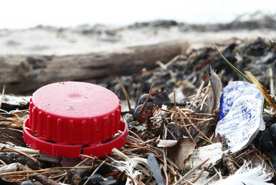 Strandryddere fjerner en del av plasten som ellers kunne havnet i havet. Men mye blir til mikroplast og finnes igjen på havbunnen, bekrefter funn som Havforskningsinstituttet har gjort i samarbeid med Mareano-programmet. Strandryddere fjerner en del av plasten som ellers kunne havnet i havet. Men mye blir til mikroplast og finnes igjen på havbunnen, bekrefter funn som Havforskningsinstituttet har gjort i samarbeid med Mareano-programmet.