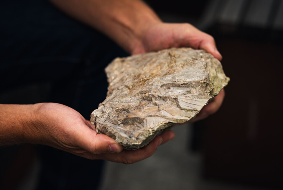 Tradisjonelt blir en kalkovn varmet opp med kull og olje, men nå skal det brukes ny teknologi som vil fjerne utslippene. VARMEBEHANDLING: Tradisjonelt blir en kalkovn varmet opp med kull og olje, men nå skal det brukes ny teknologi som vil fjerne utslippene.