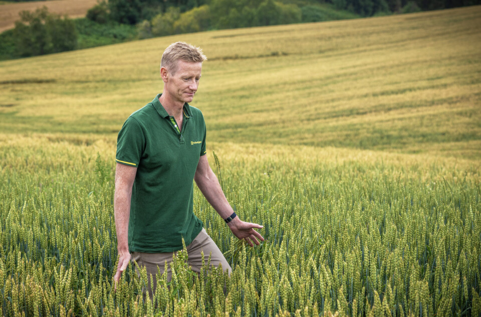 Konsernsjef i Felleskjøpet AGRI, Svenn Ivar Fure, fraskriver seg bonusen for 2024. Konsernsjef i Felleskjøpet AGRI, Svenn Ivar Fure, fraskriver seg bonusen for 2024.