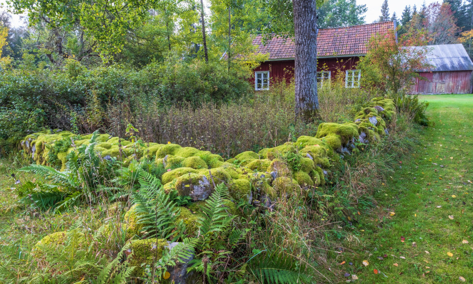 13 prosent av jordbruksarealet kan være ute av drift