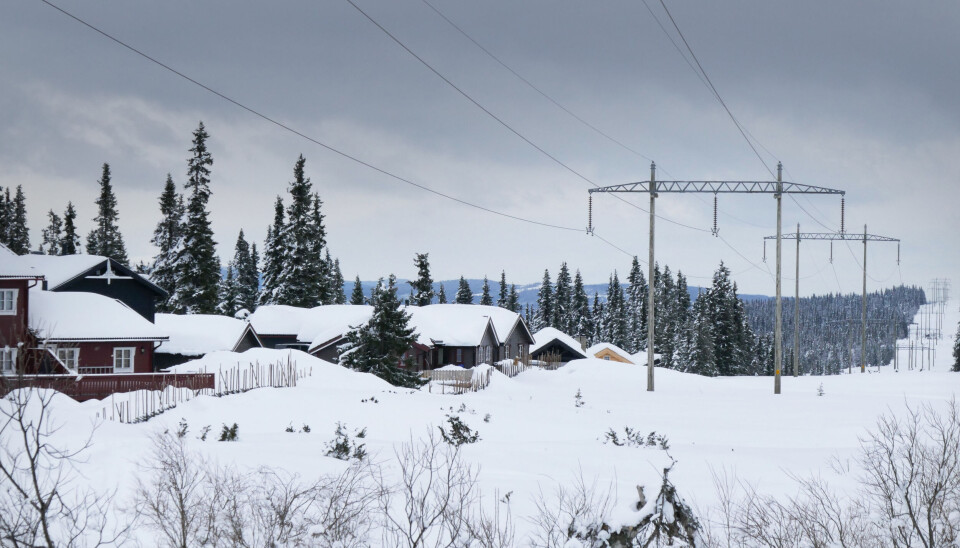 To av tre svarer i undersøkelsen at de ikke tror strømforbruket deres ville endret seg om de fikk en fastprisløsning som norgespris. De vil bruke strøm omtrent som før.