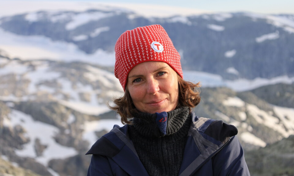 Jubel for nei til vindkraft