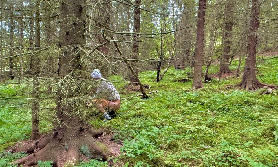 Å gå på do i naturen