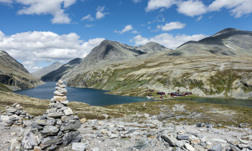 Regjeringen med nye tiltak for å redde villreinen