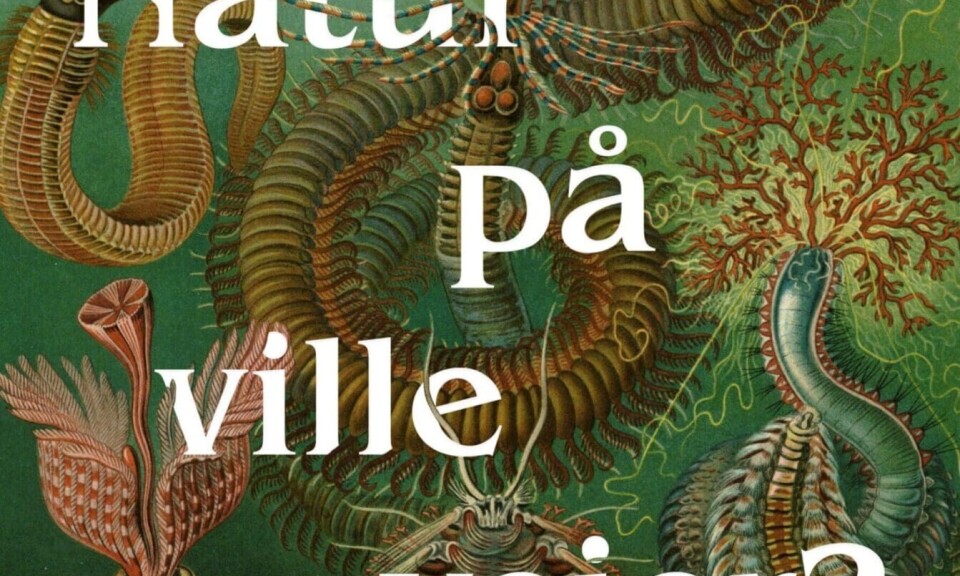 Natur på ville veier?