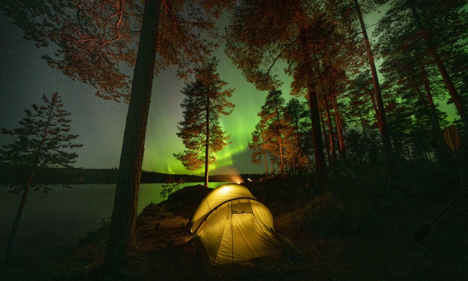 Nordlysturistene strømmer til Norge