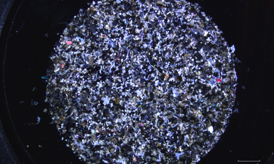 Sedimenter av Oslofjorden består av opptil tre prosent bildekk